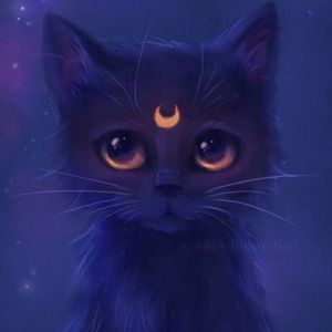 Meet your Posher, Sundriana